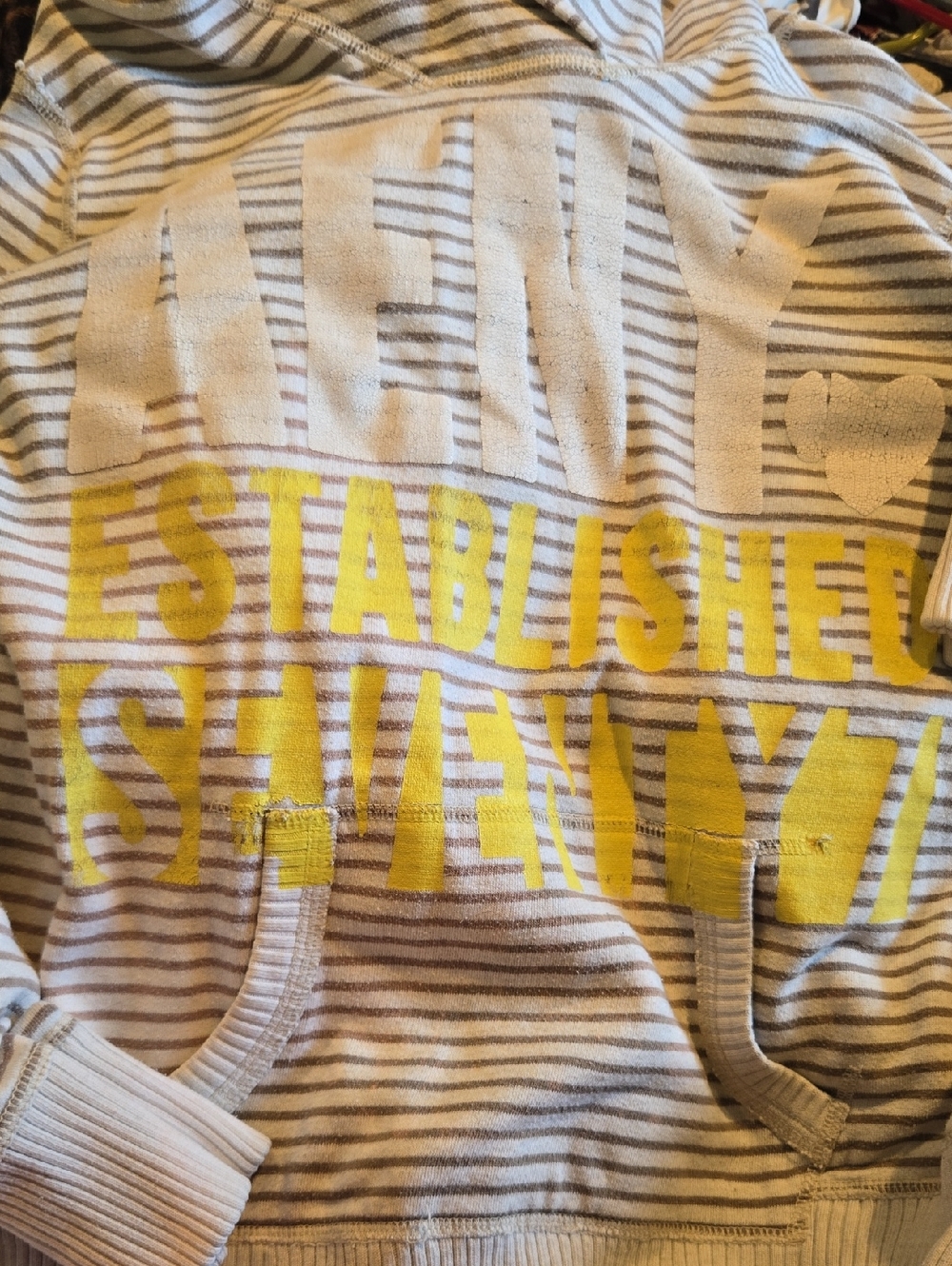 American Eagle Outfitters Beige & Brown Striped Hoodie